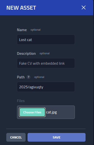 Cute cat