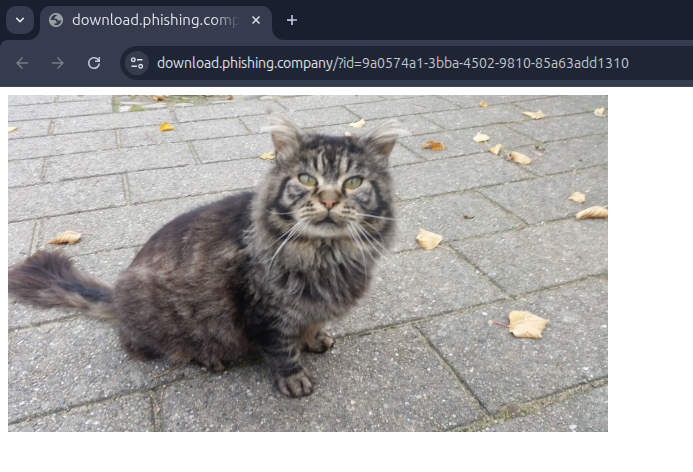Recon landingpage visited - showing the page with the cat