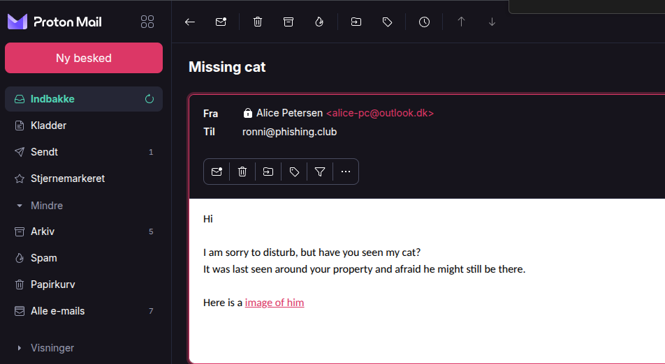Email viewed in Proton
